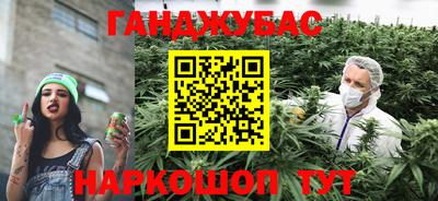 гашик Кулебаки
