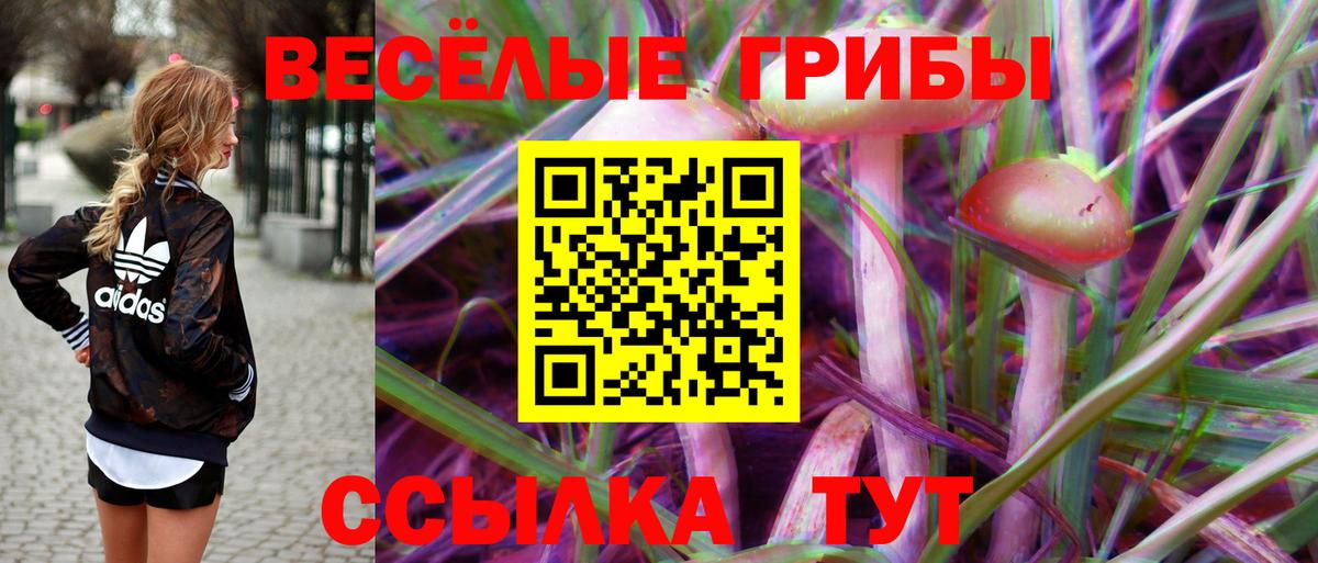 Галлюциногенные грибы Psilocybine cubensis Кировск