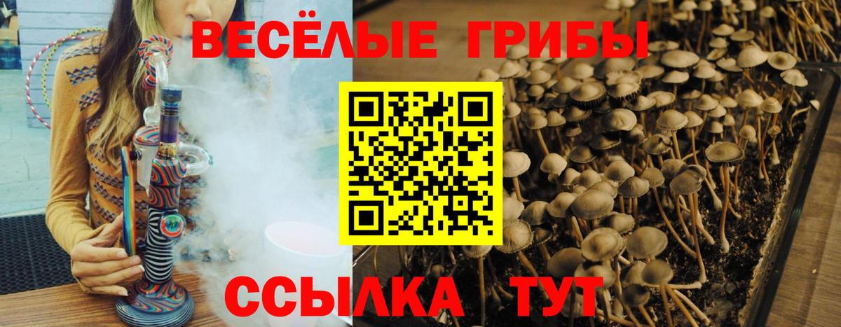 Галлюциногенные грибы мицелий  Вход с VPN  Кировск 